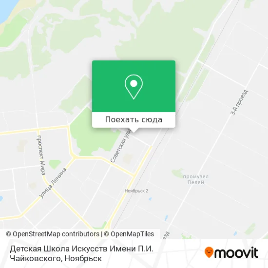 Карта Детская Школа Искусств Имени П.И. Чайковского