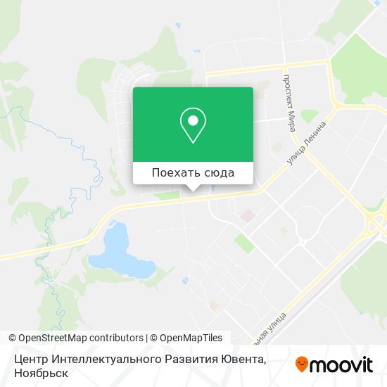 Карта Центр Интеллектуального Развития Ювента