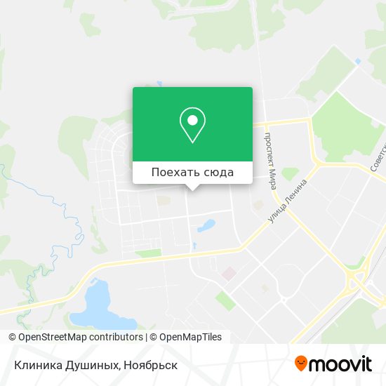 Карта Клиника Душиных