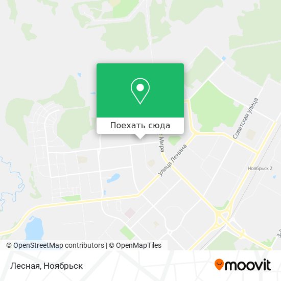Карта Лесная