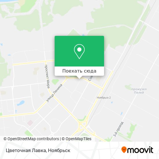 Карта Цветочная Лавка