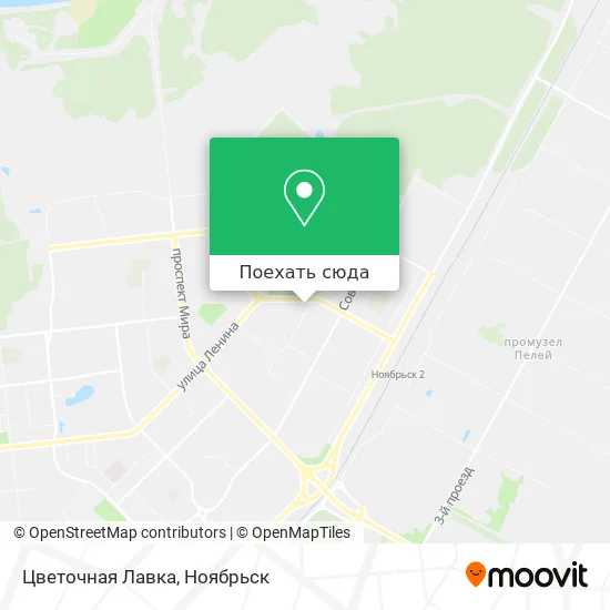 Карта Цветочная Лавка