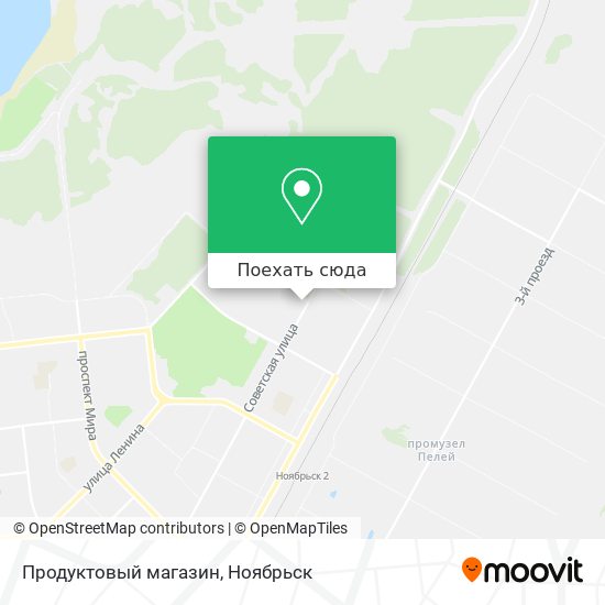 Карта Продуктовый магазин