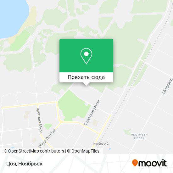 Карта Цоя