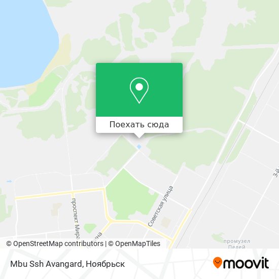 Карта Mbu Ssh Avangard
