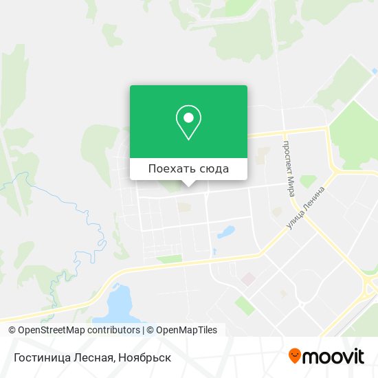 Карта Гостиница Лесная