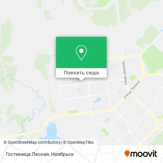 Карта Гостиница Лесная