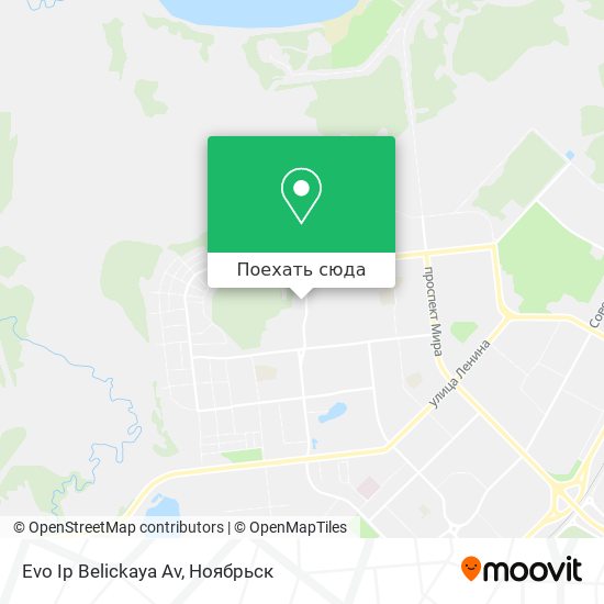 Карта Evo Ip Belickaya Av
