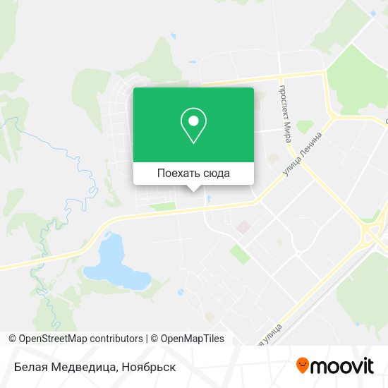 Карта Белая Медведица