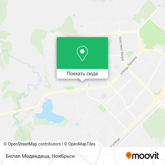 Карта Белая Медведица