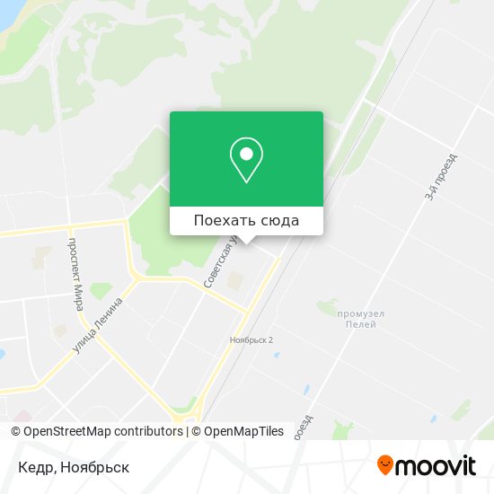 Карта Кедр