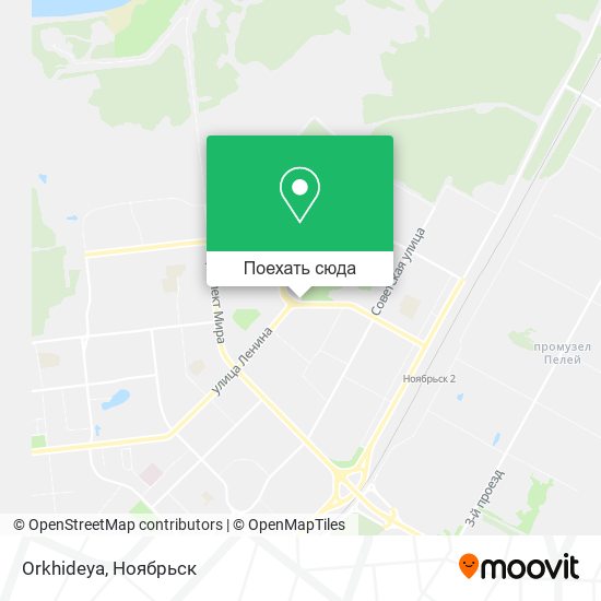 Карта Orkhideya