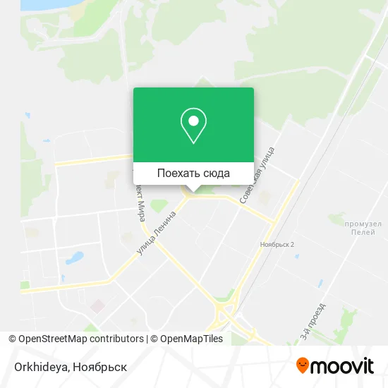 Карта Orkhideya