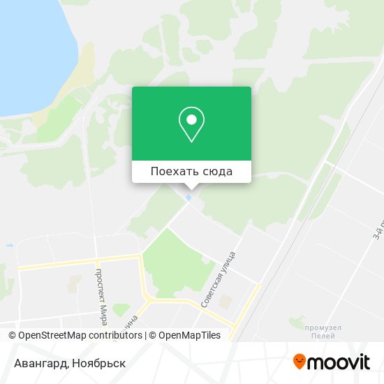 Карта Авангард