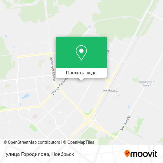 Карта улица Городилова