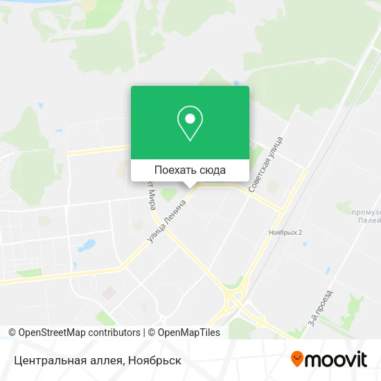 Карта Центральная аллея