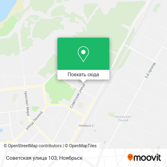 Карта Советская улица 103