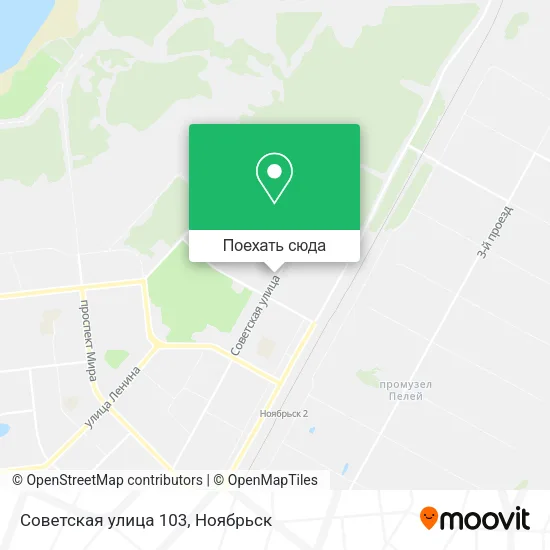Карта Советская улица 103