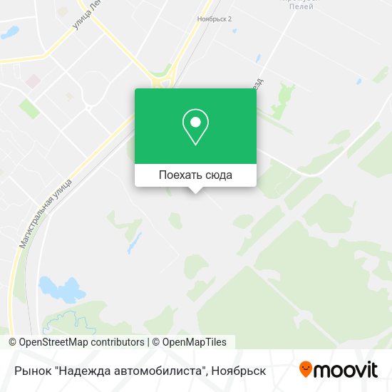 Карта Рынок "Надежда автомобилиста"