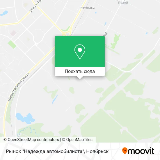 Карта Рынок "Надежда автомобилиста"