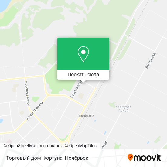 Карта Торговый дом Фортуна