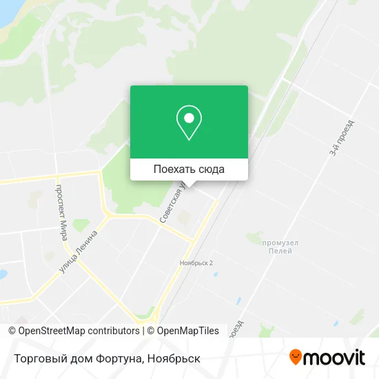 Карта Торговый дом Фортуна