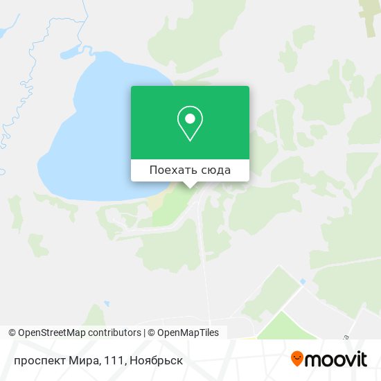 Карта проспект Мира, 111
