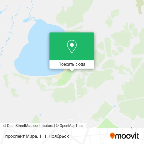Карта проспект Мира, 111