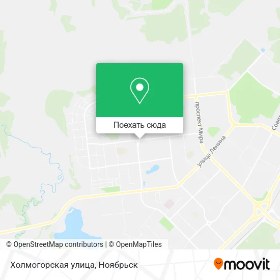 Карта Холмогорская улица