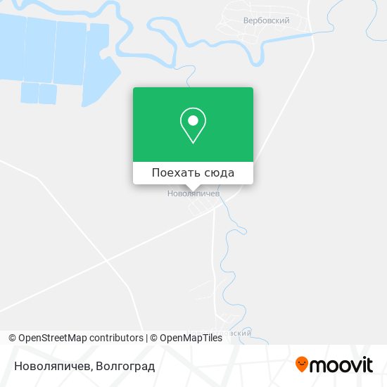 Карта Новоляпичев