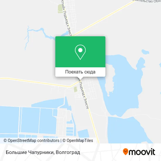 Карта Большие Чапурники