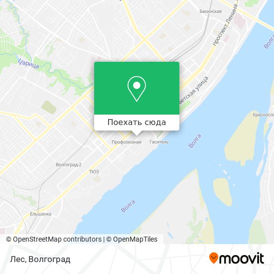 Карта Лес