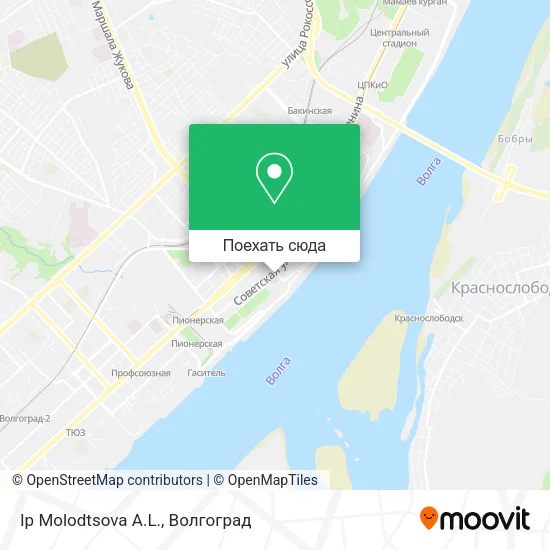 Карта Ip Molodtsova A.L.