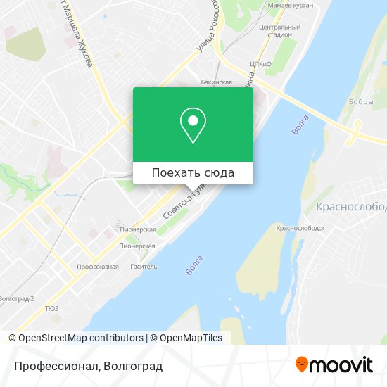 Карта Профессионал