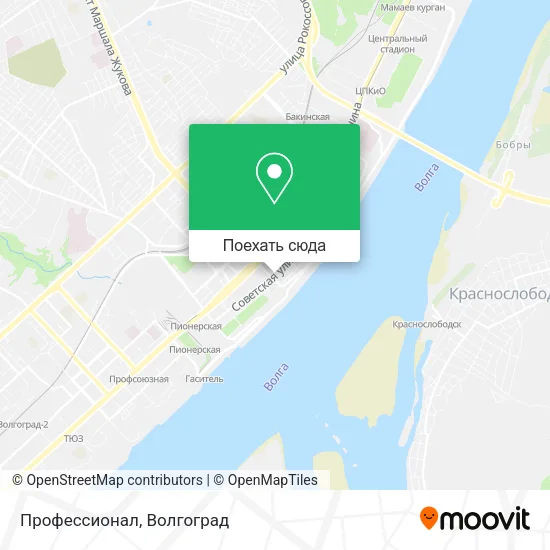 Карта Профессионал