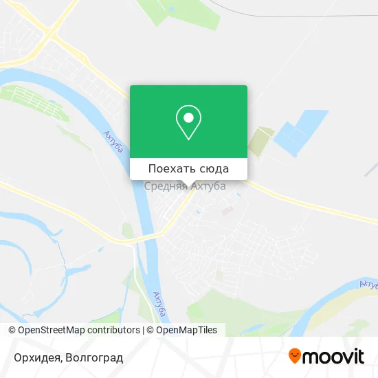 Карта Орхидея