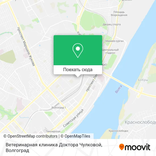 Карта Ветеринарная клиника Доктора Чулковой
