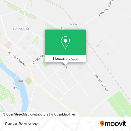 Карта Лилия