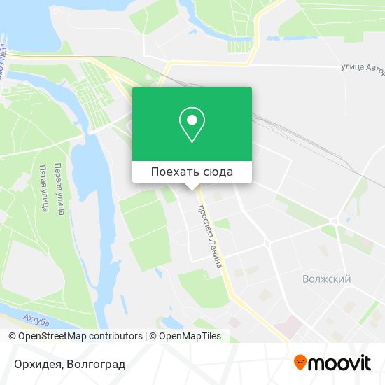 Карта Орхидея