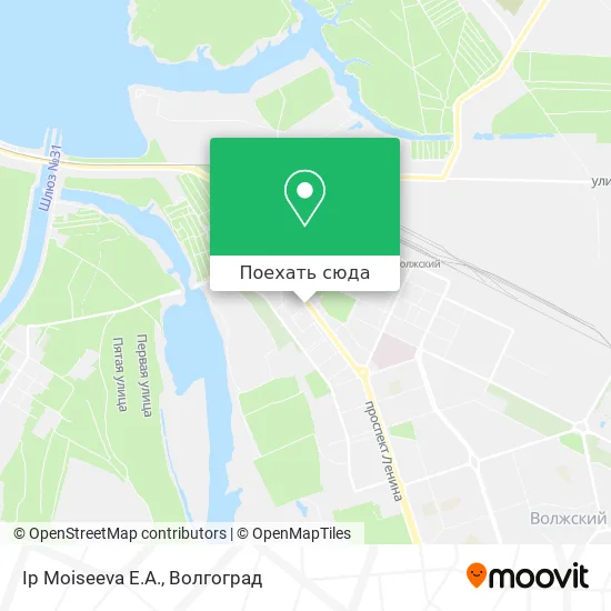 Карта Ip Moiseeva E.A.
