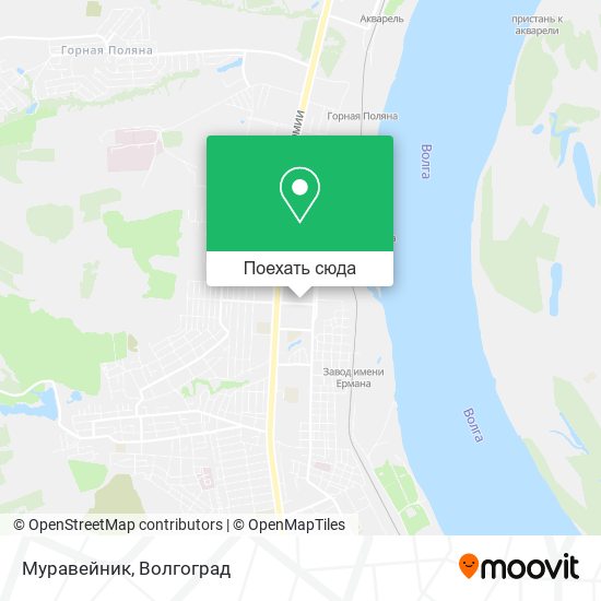 Карта Муравейник