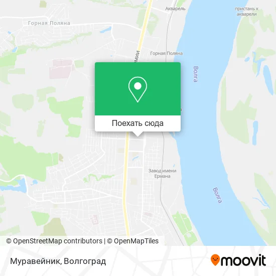 Карта Муравейник