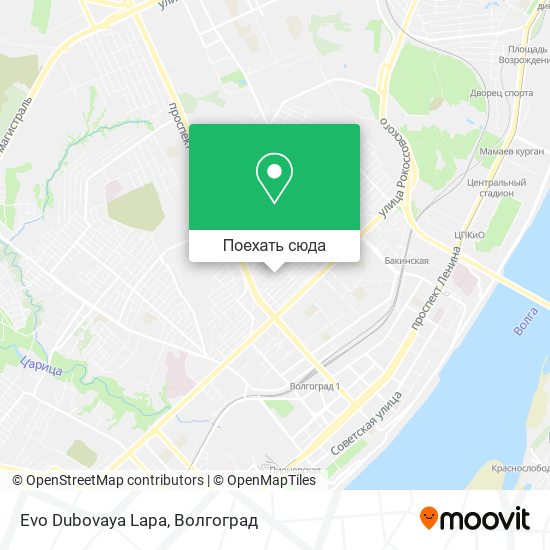 Карта Evo Dubovaya Lapa