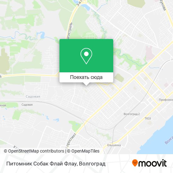 Карта Питомник Собак Флай Флау