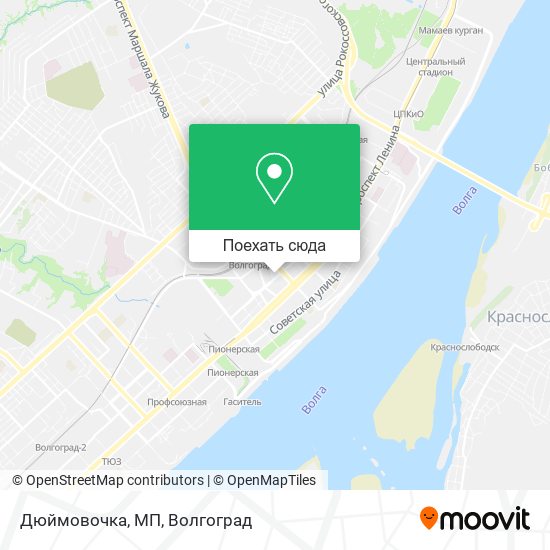 Карта Дюймовочка, МП