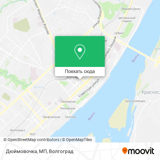 Карта Дюймовочка, МП