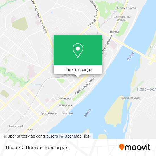 Карта Планета Цветов
