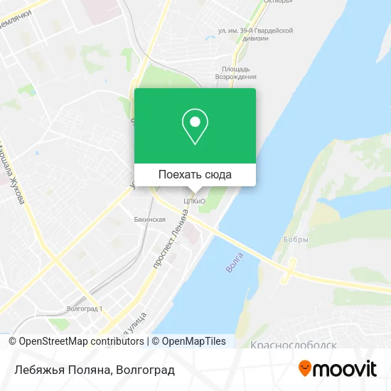 Карта Лебяжья Поляна