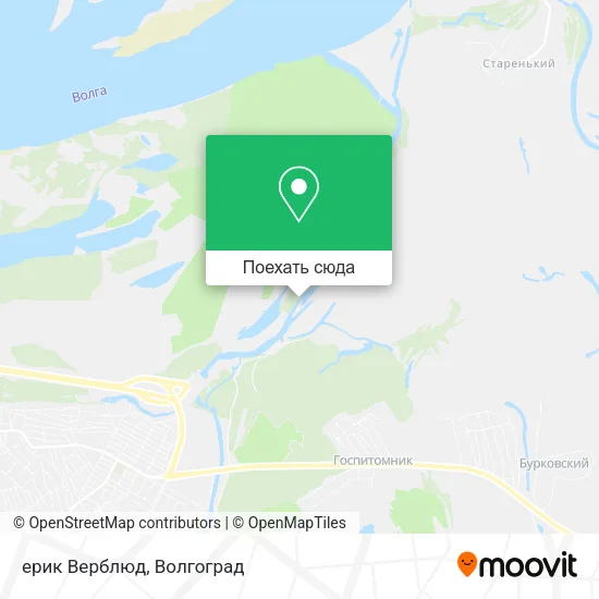 Карта ерик Верблюд