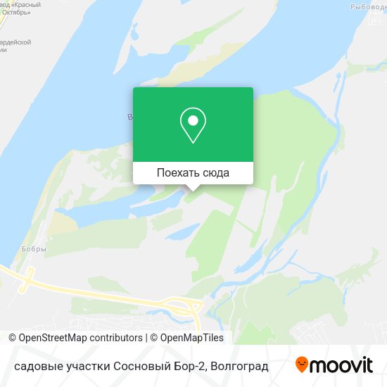 Карта садовые участки Сосновый Бор-2